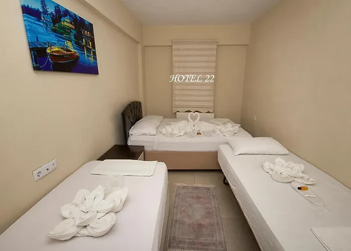 22 فندق أديرني